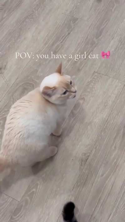 Girly wunker