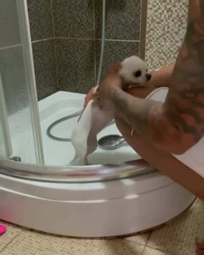This dog out here living a better life!