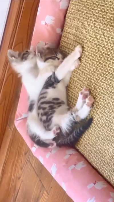 let's sleep