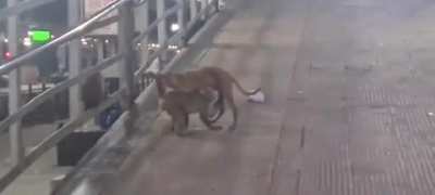 Only in India