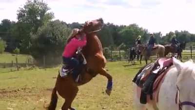 reverse cowgirl