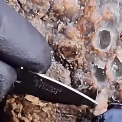 Trypophobia on a ‘hole’ new level . 