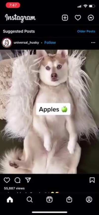 Stolen from Instagram