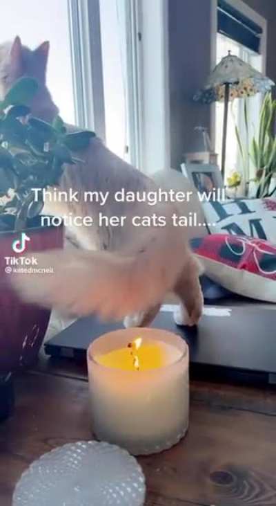 AAA