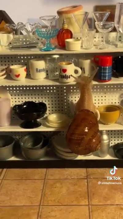 Mini thrift store 🐌