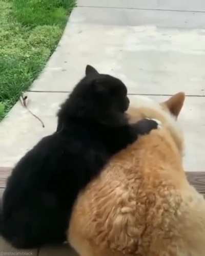 There there...