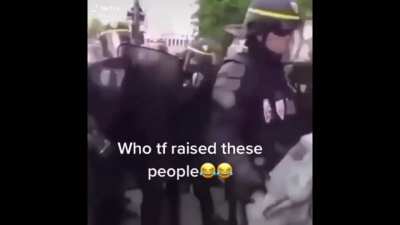 bonk