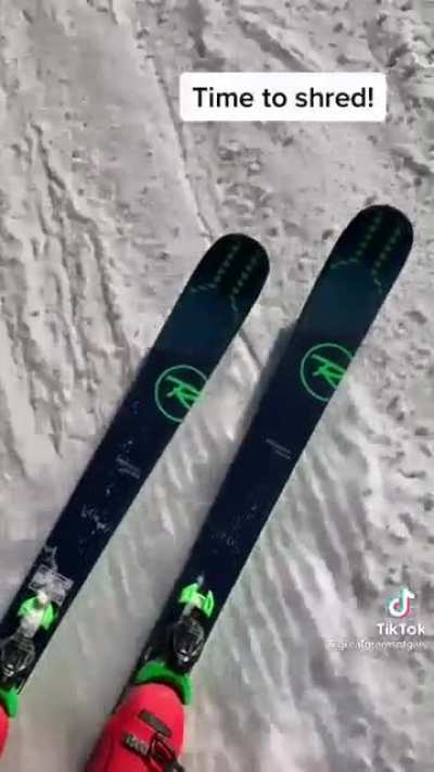 Kitty on the slopes