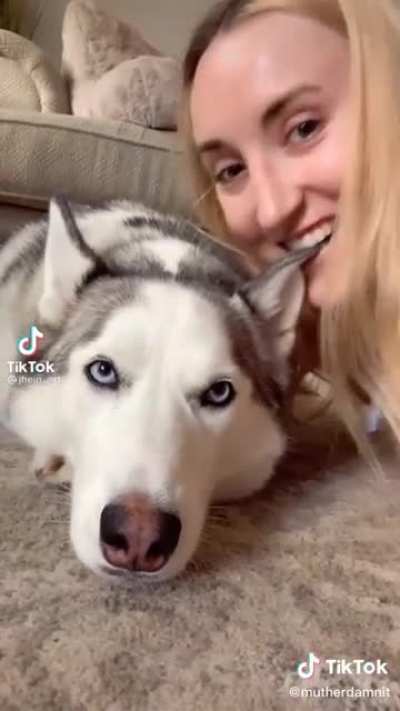 Trend for dog owners comes to its “natural” conclusion
