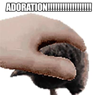 ADORATION