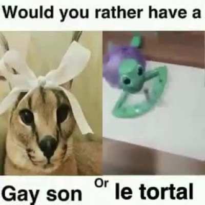 What