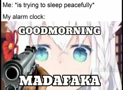 Posting Fubuki content until she becomes verified on twitter (Day 23)