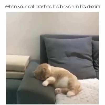 Bicycling in dream