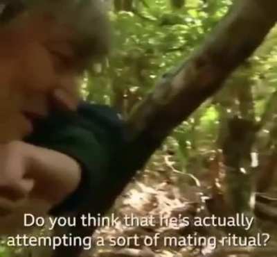 What would Bear Grylls do