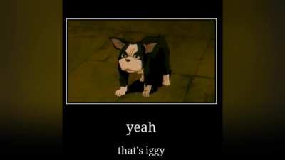 Igg