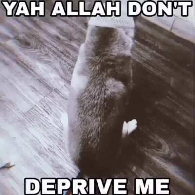 والله العظيم يرحمك بركات<wbr>ه🙏🙏