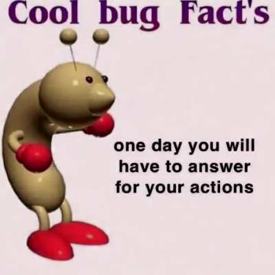 Cool bug factes