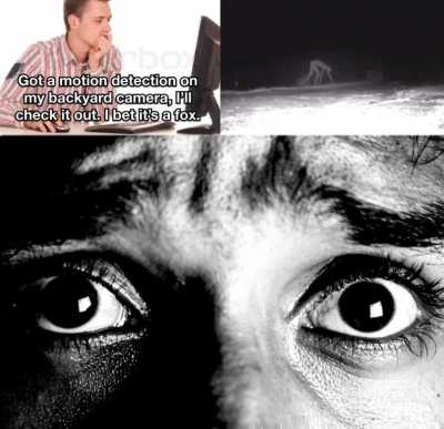 It senses me watching it.