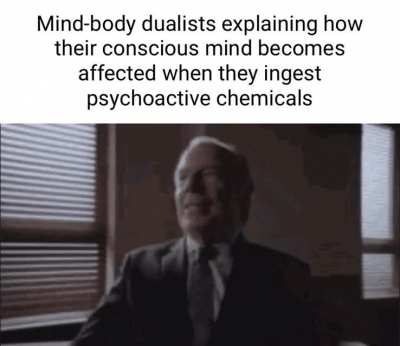 checkmate Descartes