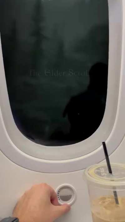 The new window blinds on planes are pretty cool.