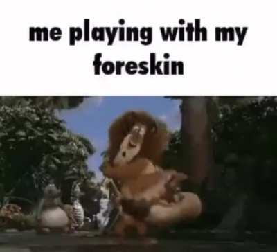 obligatory title