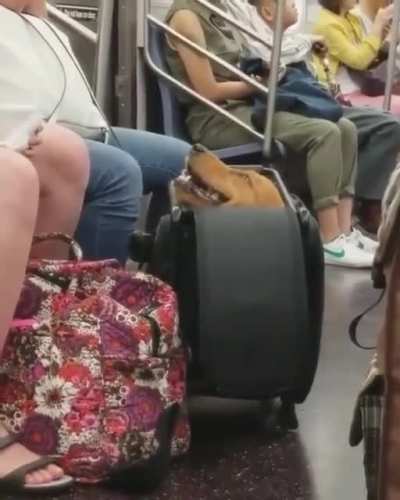 When you only pack the essentials.