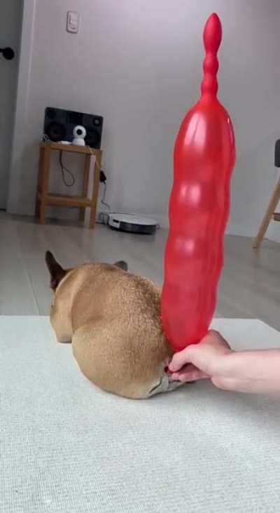 ???????? 51.f