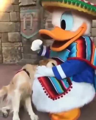 Dog's got a surprise from its favorite Disney Character