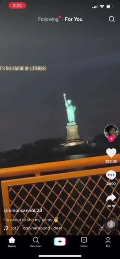 Just trynna show their kids the Statue of Litterbee