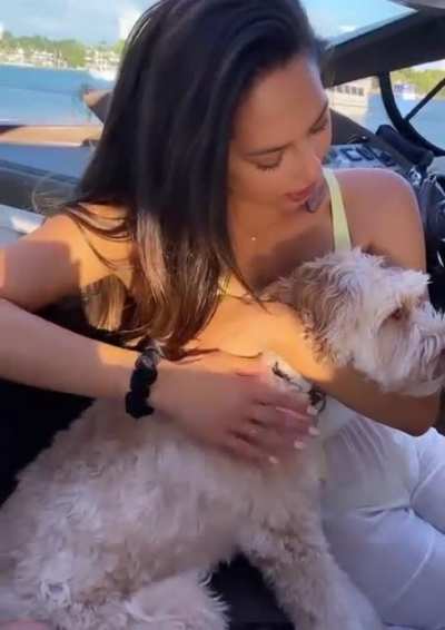 Lucky Dog