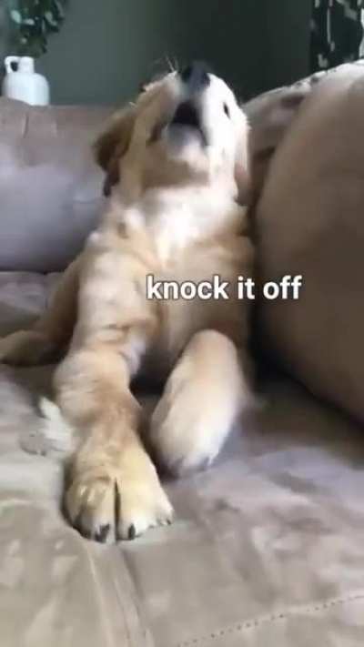 Stop poking me
