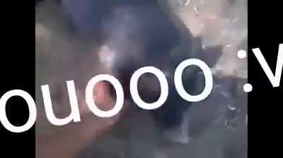 eu_nvr
