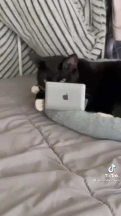 Little Businessman
