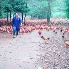 Fear his army!!