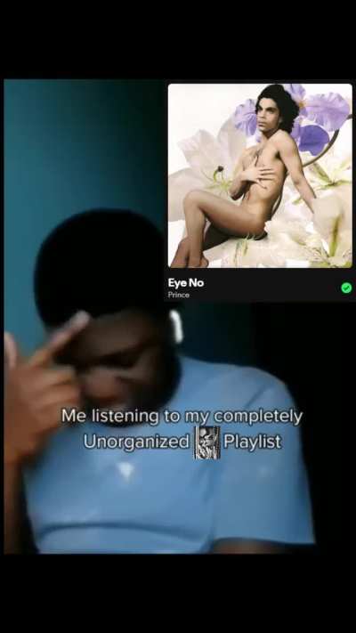 Me Listening To My Completely Unorganized Prince Playlist: