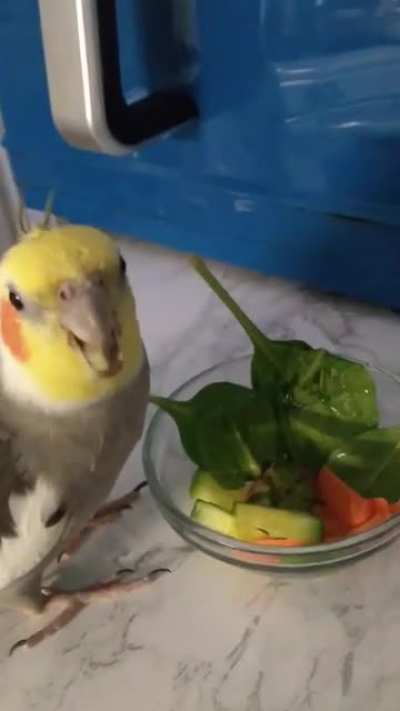 Food or Drum