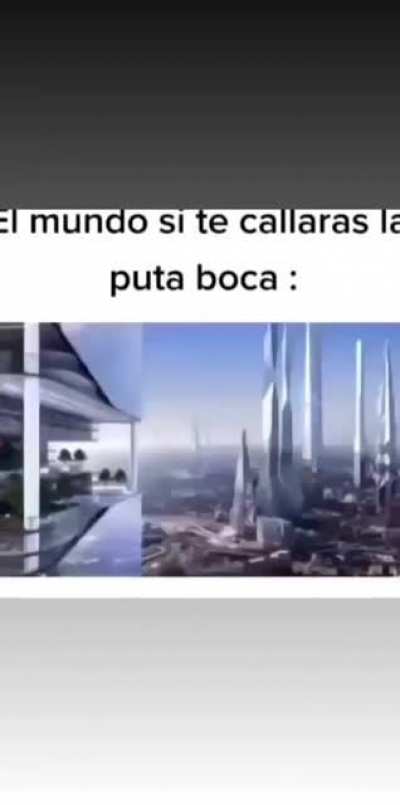 El mundo 🌍 si