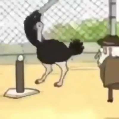 It’s the ostrich thing with the balls