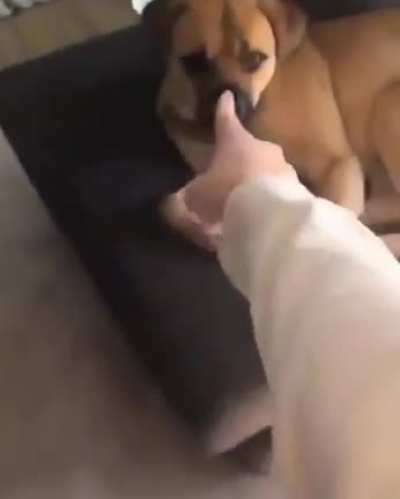 *ZA HANDO noises*