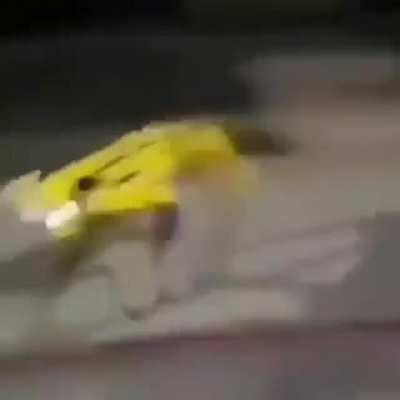 Robot köpek
