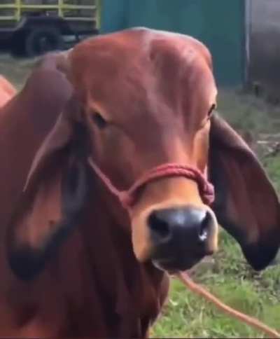 What?! (Part 2 by another person)