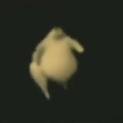 me when mold