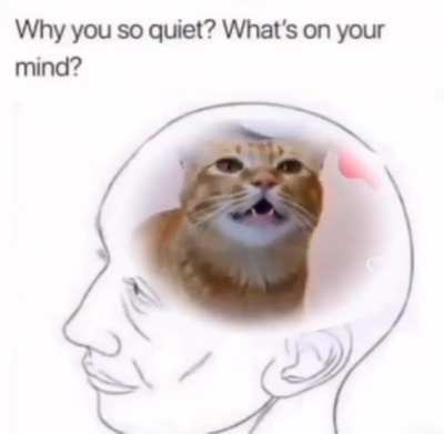 In my mind 💀