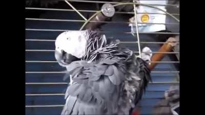 Do you love me?