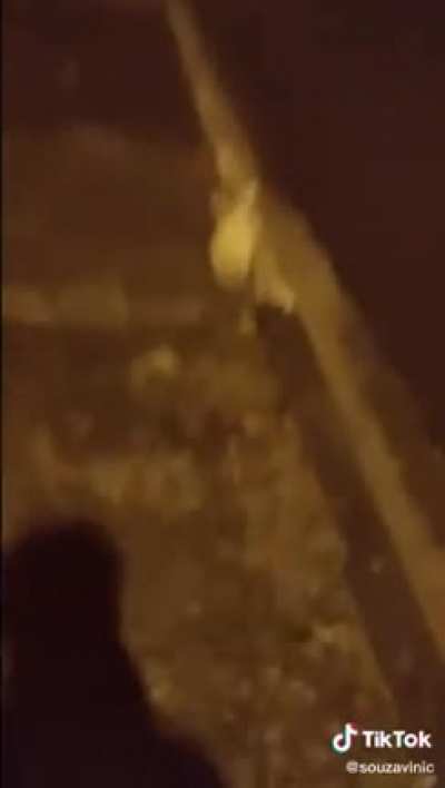 visão foda