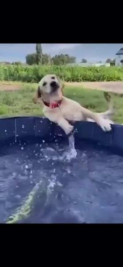 Such a graceful boy.