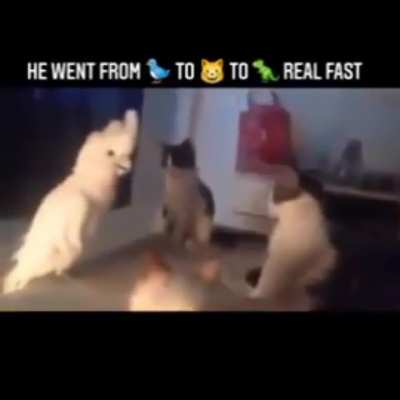 SIT BACK DOWN