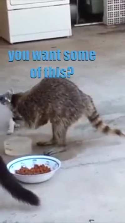 I think Gary shouldn't be trusted