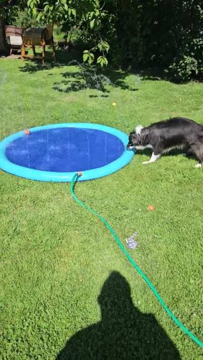 He loves water