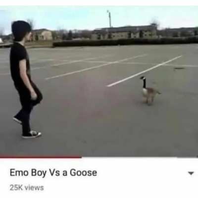 The ultimate showdown